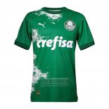 Tailandia Camiseta De Futbol Palmeiras Special 2024 Verde