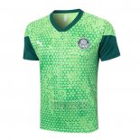 Camiseta De Futbol de Entrenamiento Palmeiras 2024-2025 Verde